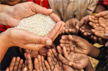 India’s poverty rate likely to decline further to 4.6% in 2024: Report